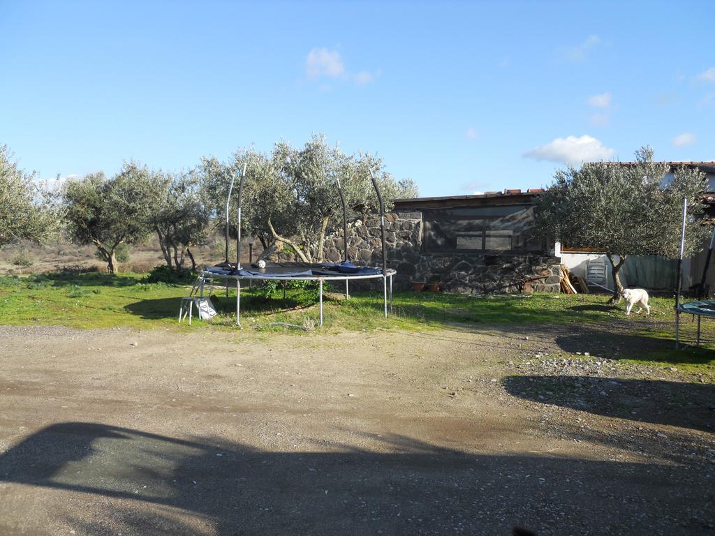 Agriturismo Su Nuratolu Villa Sagama Dış mekan fotoğraf